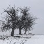 ERINNERUNG! Tenniswinterwanderung