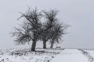 Mehr über den Artikel erfahren ERINNERUNG! Tenniswinterwanderung