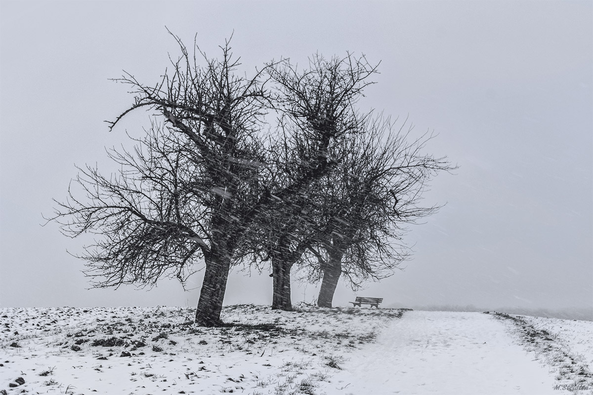 Du betrachtest gerade ERINNERUNG! Tenniswinterwanderung